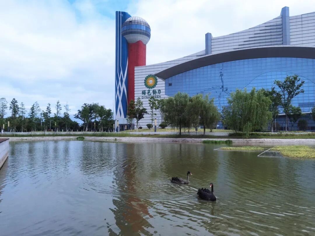 首页- k8凯发集团中国官方网站