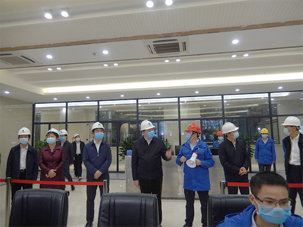 广西壮族自治区人大常委会副主任张秀隆视察k8凯发博白项目